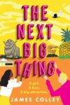 Cover of The Next Big Thing